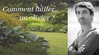 Comment tailler un olivier [upl. by Pickering]