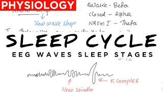 Sleep physiology  Sleep cycle  EEG  sleep centres REM NREM Sleep  explained under 10 minutes [upl. by Leirua533]