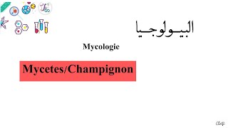 درس ميكولوجي  L3  Microbiologie Mycologie MycetesChampignon [upl. by Sammons]