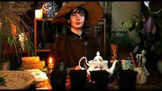 ASMR Herbology Class at Hogwarts Studying Muggle Cultivation Cinematic ASMR [upl. by Helbonna635]