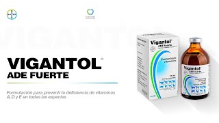 En Voz Del Experto Bayer Uso de Vigantol ADE fuerte en protocolo de empadre [upl. by Carver931]