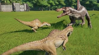 2 Spinoraptor VS Spinosaurus  Jurassic World Evolution [upl. by Alleirbag]