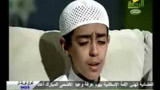 Quran Ki Tilawat  Mahmoud Hijazi  Surah AnNeml [upl. by Curt]