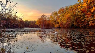 Bee Meadow Park Whippany New Jersey USA [upl. by Riane137]