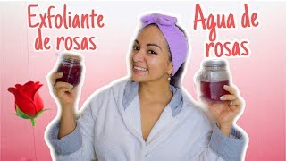 EXFOLIANTE DE ROSAS Y AGUA DE ROSAS CASERO  DIY🌹🌹🌹 [upl. by Annavoig7]