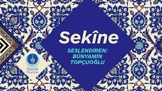 Sekine Duası Büyük Cevşenden [upl. by Ahsital]