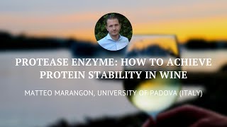 Protease Enzyme Innovative Tool to Achieve Protein Stability in Wine  Part 1 [upl. by Saqaw]