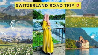 Drive through the scenic views of SWITZERLAND🇨🇭Road trip  Netherland to Switzerland 😍 [upl. by Heti]