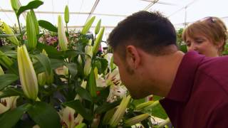 Great British Garden Revival  RHS Flower Show Tatton Park 1 [upl. by Annuahsal]