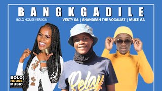 Vesty SA x Shandesh The Vocalist x Multi SA  Bankgadile Official Audio [upl. by Kotz95]