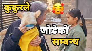 ROMANTIC 😍 Are you a Dog Lover You Must Watch this Movie Korean Movie Explain in Nepali [upl. by Onurb]