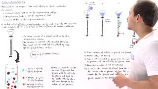 Affinity Chromatography [upl. by Anyela]