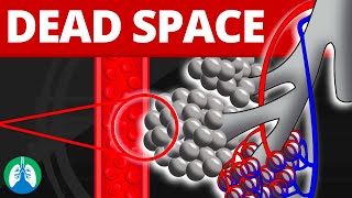 Alveolar Dead Space Medical Definition  Quick Explainer Video [upl. by Coy]