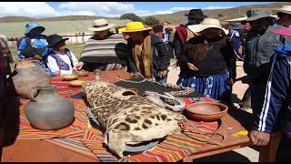 PRESERVACIÓN DEL PATRIMONIO CULTURAL DEL QHAPAQ ÑAN BOLIVIA [upl. by Suu301]