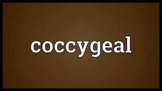 Coccygeal Meaning [upl. by Horick690]