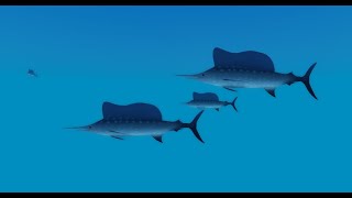 ocean como encontrar Yellow Goosefish Indo Pacific Sailfish y Emperor Angelfish en dbsa de roblox [upl. by Shewmaker]