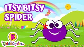 ITSY BITSY SPIDER 🕷️🏠  More Nursery Rhymes  Lingokids [upl. by Thanos40]