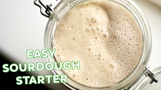 Easy Sourdough Starter Recipe  Make a Wild Yeast Starter at Home [upl. by Quitt197]