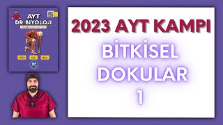 Bitkisel Dokular1 AYT Biyoloji Kampı Konu Anlatımı 12Sınıf 2024 Tayfa [upl. by Essinger]