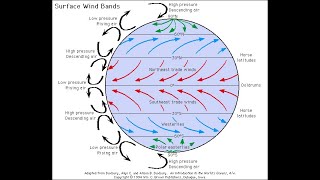 Atmospheric Air Circulation Planetary Winds Headly Ferrel Polar cells Explained UPSC Geography [upl. by Nwonknu]