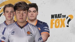 JERSEY GIVEAWAY Summer Split LOLFOX Academy and more on WHAT THE FOX [upl. by Afihtan]