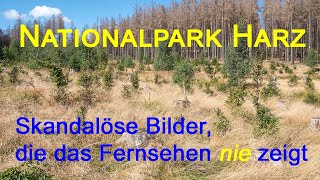 Nationalpark Harz  Diese Bilder zeigt das Fernsehen nie [upl. by Yeargain]