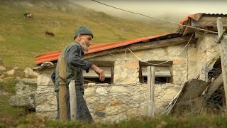 Ancient Primitive Lives  Highland Documentary  100 years of History  Life in Nature [upl. by Jedd]