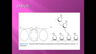 CHO chemistry lec6 DR Mahmoud Ettaweel Polysaccharides الكاربوهيدرات محاضرة 6 د الطويل [upl. by Elorac]