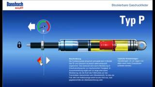 Blokkeerbare gasveren Type P [upl. by Niac]