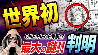 誰１人たどり着けなかった“あの影の正体”を突き止めました【ワンピース ネタバレ】【ワンピース 考察】 [upl. by Asnerek356]