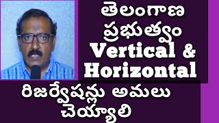 What is Horizontal  Vertical Reservations  తెలుగులో విశ్లేషణ  Telangana Notifications [upl. by Coretta]