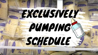 Exclusively Pumping Schedule🍼When to Start Pumping and how to wean off Pumping 🤱🏻 [upl. by Annasor]