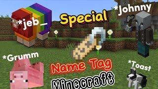 All Special name tag in minecraft 121 no mod  Minecraft Tutorial [upl. by Nrevel387]