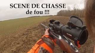 Chasse CERF SANGLIER CHEVREUIL 2019 [upl. by Trebuh]