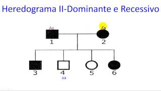 Recessivo e dominante nos heredogramas [upl. by Jason]