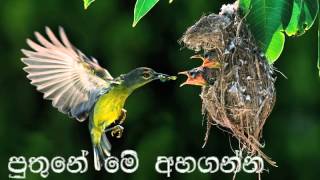 Puthune Me AhagannaSUJATHA ATTANAYAKEBySujeewa Munugoda [upl. by Aridan]