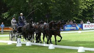 Brauchle Michael GER Team FEI EU CH H4 CHI Donaueschingen Dressage 16 08 2019 [upl. by Roht985]