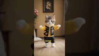 Ep257 ❤😻🐾Cute kitten cat lovecats cats catvideos kittens catlover princesscat kitten [upl. by Dercy]