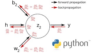 Backpropagation from Scratch in Python [upl. by Zenda894]