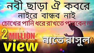 নবী ছাড়া ঐ কবরে নাইরে বান্ধব নাই New Gojol 2022 চোখের পানি ধরে রাখতে পারবেন না।Islamic Consiousness [upl. by Letney]