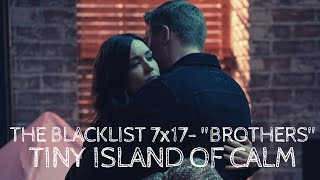 The Blacklist  7x17  Ending Scene Liz amp Ressler [upl. by Block590]