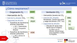 Principios de Ventilacion Mecanica Volumen Control Asistido Controlada Parametrización y Curvas [upl. by Eninej]