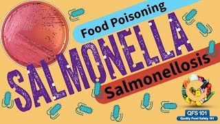 Salmonella Full Details  Symptoms Spread Controls [upl. by Sivad480]