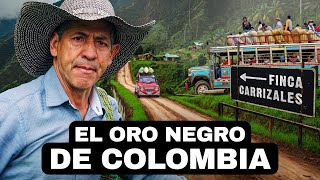 El Oro Negro De Colombia  Documental De Café Colombiano Versión en Español [upl. by Aerdnahc]