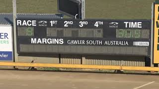 Gawler07082024Race8 [upl. by Ecylahs539]