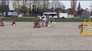 Cahil v Cornet Obolensky und Lucas Wenz  Platz 4 im MSpringen [upl. by Stranger]