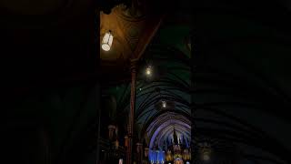 NotreDame Basilica of Montreal  Fever [upl. by Bibby]