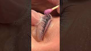 lashlamination lashlift magic perfect treatment for your lashes [upl. by Madalyn937]