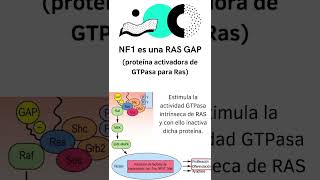 Neurofibromatosis 1 hospital ciencia curiosidadescientificas [upl. by Gold]