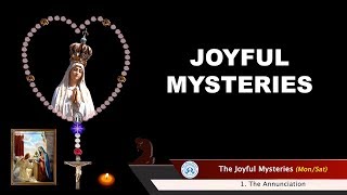 The Sorrowful Mysteries  VIRTUAL ROSARY  Tuesdays amp Fridays [upl. by Inod]